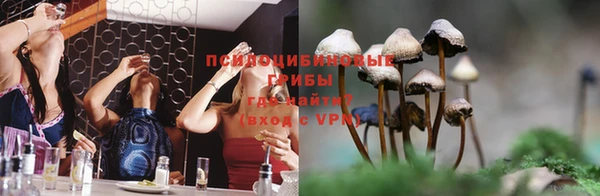 наркотики Белокуриха