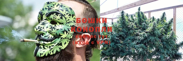шишки Слюдянка