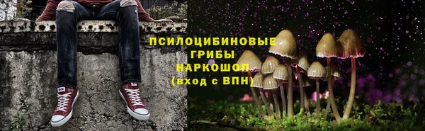 наркотики Белокуриха