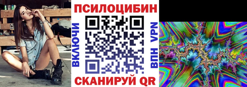 Псилоцибиновые грибы мицелий  где найти наркотики  Городовиковск 