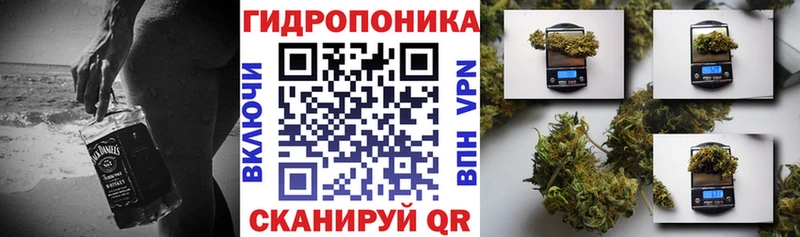 Каннабис THC 21%  мега зеркало  Городовиковск 